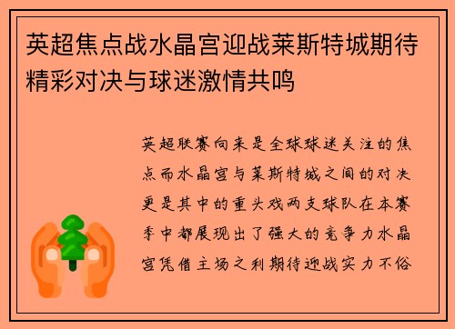 英超焦点战水晶宫迎战莱斯特城期待精彩对决与球迷激情共鸣