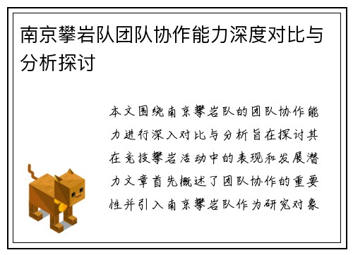 南京攀岩队团队协作能力深度对比与分析探讨